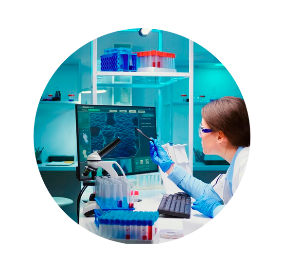 Área de Supervisión